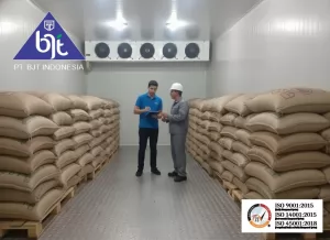 Mengenal Cold Storage dan Jenis-Jenisnya: Solusi untuk Rantai Dingin yang Efisien